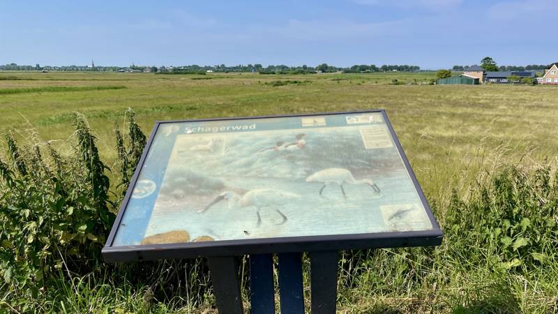 Wandern in Nordholland LekkerNaarZee 
